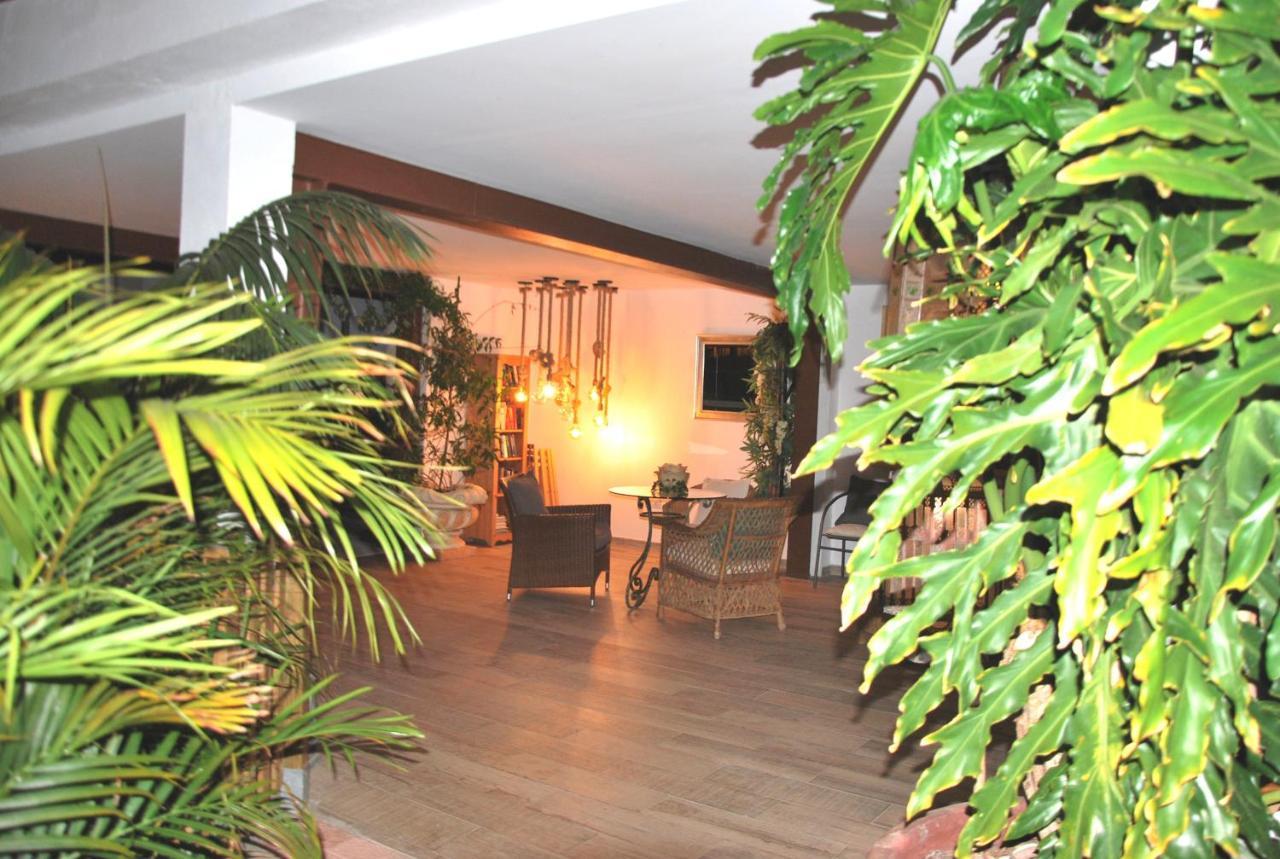 Lacy Golf Apartments (Adults Only) Maspalomas  Kültér fotó